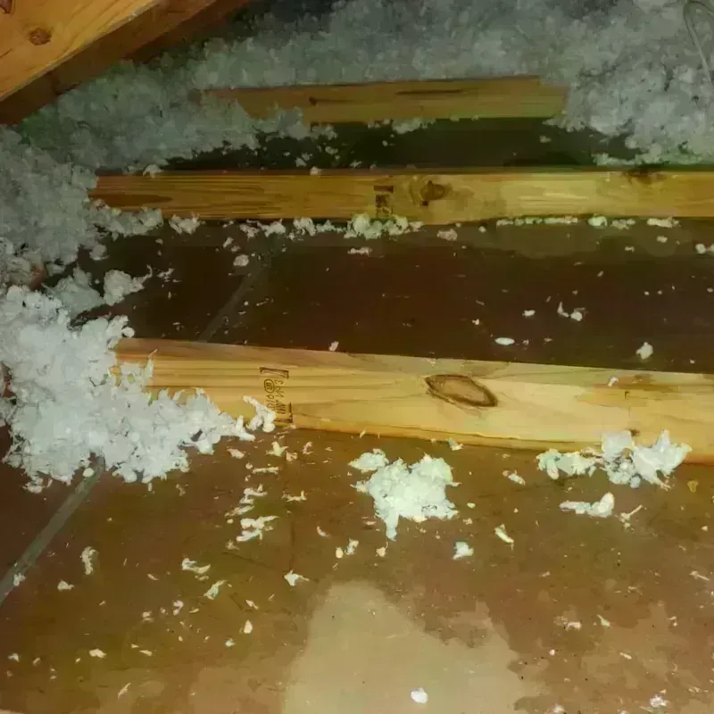 Attic Water Damage in Martinez, CA