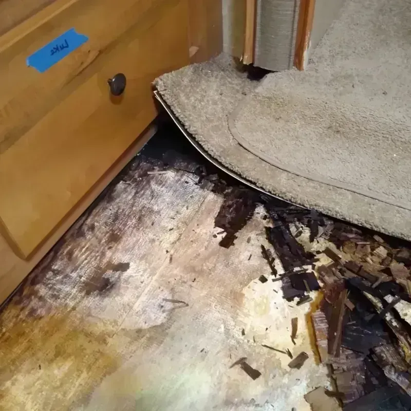 Wood Floor Water Damage in Martinez, CA